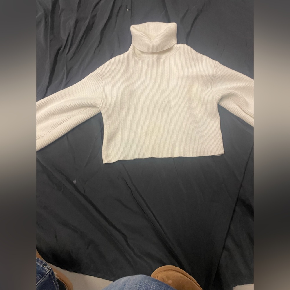 Cropped turtleneck